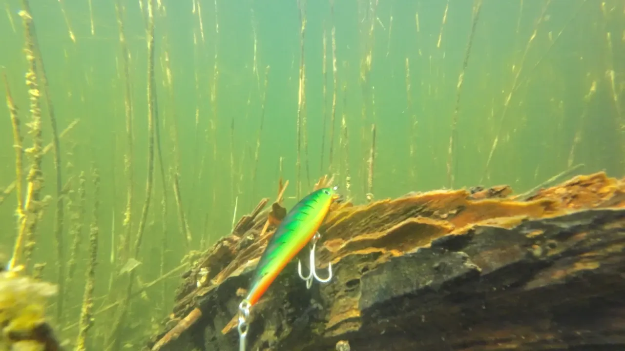 Wobbler fishing lure snagged on submerged wood